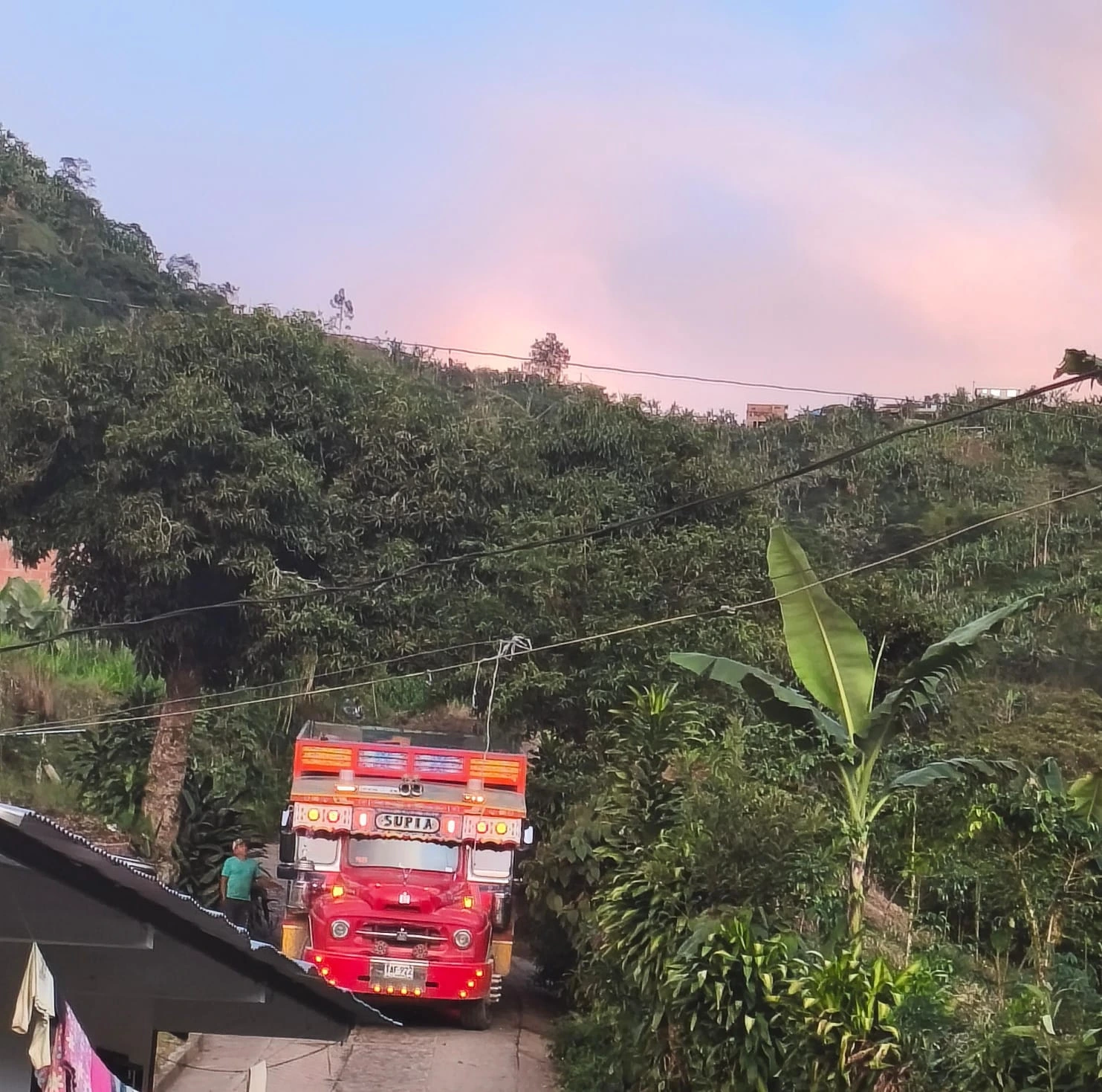 Finca El Billar (Atlantis Coffee)